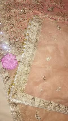 Beautiful Peach Colour Stitched Lahanga Dress Medium Size