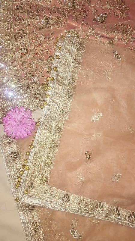 Beautiful Peach Colour Stitched Lahanga Dress 2025 0