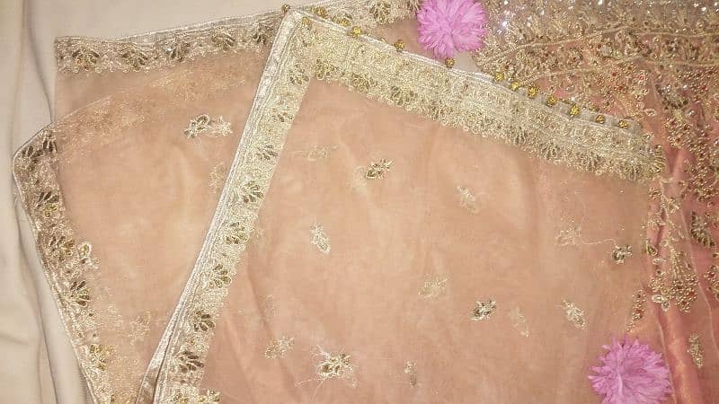 Beautiful Peach Colour Stitched Lahanga Dress 2025 2