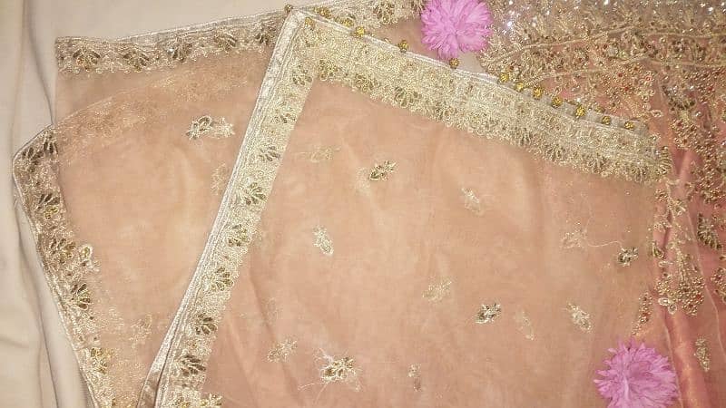 Beautiful Peach Colour Stitched Lahanga Dress 2025 4