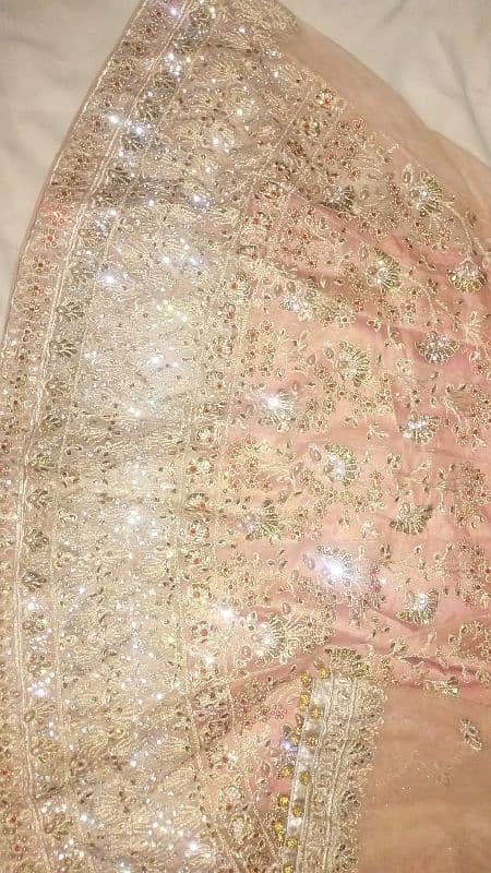 Beautiful Peach Colour Stitched Lahanga Dress 2025 6