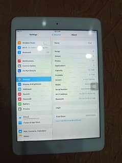 iPad mini capacity 13GB