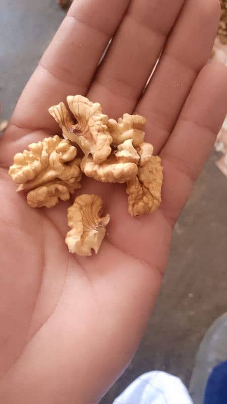 Dry Fruits 1