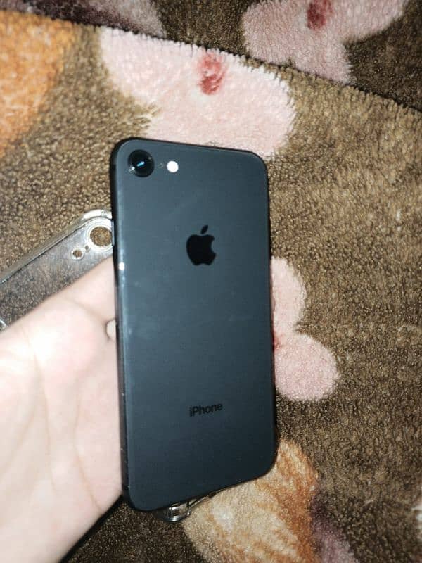 i phone 8 lush condition 64 GB 1