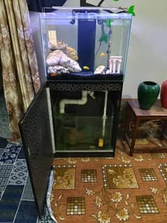 aquarium