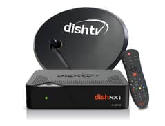 dish