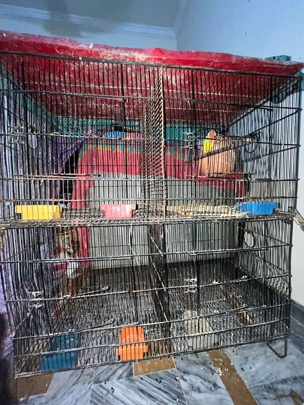 Partition Cage 0