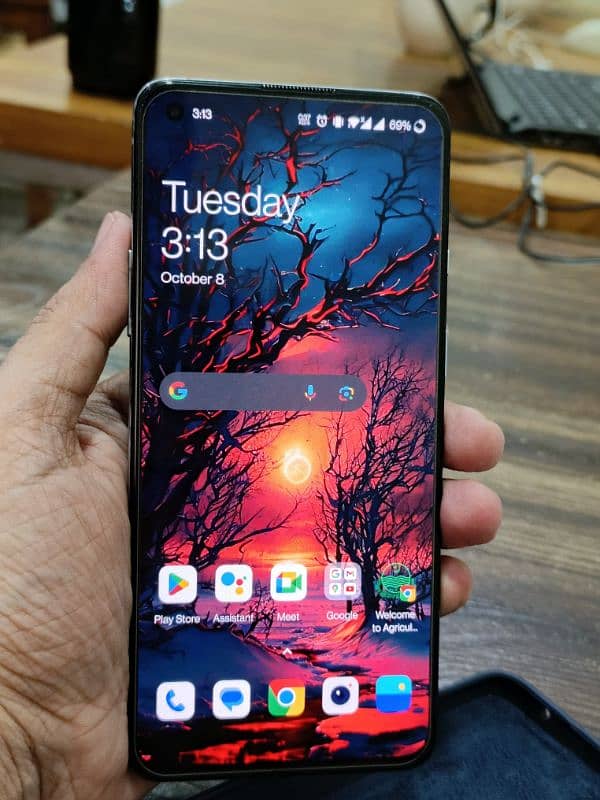 Selling My OnePlus 8t 6