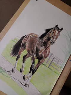 horse drawing/ luxury painting