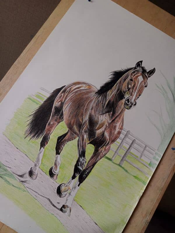 horse drawing/ luxury painting 0