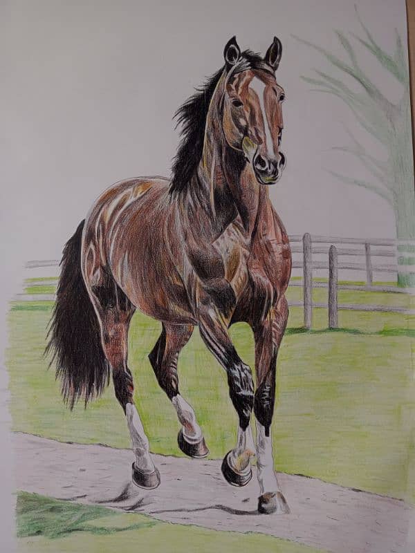 horse drawing/ luxury painting 1