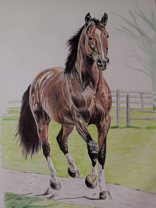 horse drawing/ luxury painting 2