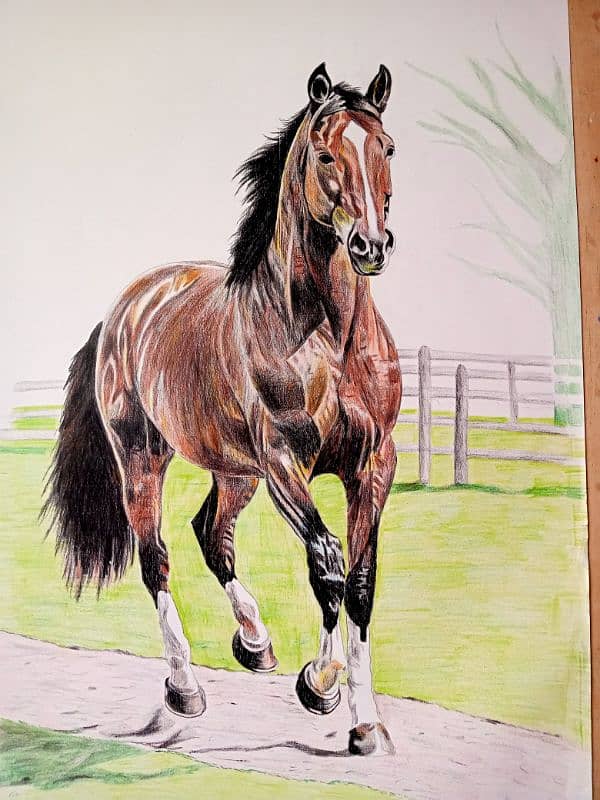 horse drawing/ luxury painting 3