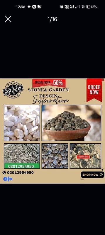 Garden Fancy Stones | Garden Stone | fancy stones 15