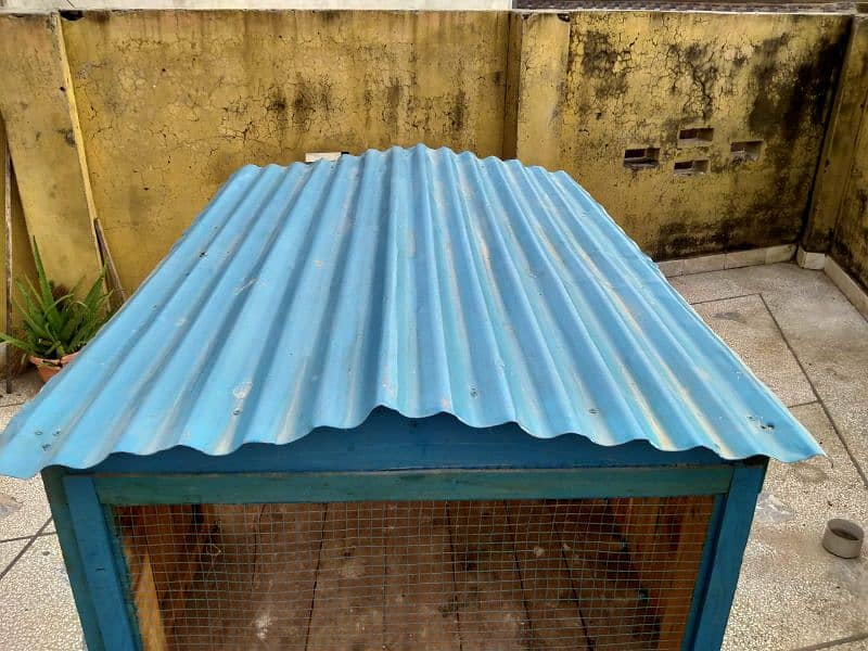 Hen cage for sale 4