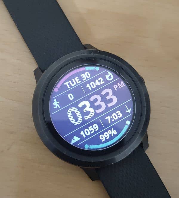 Garmin Vivoactive 3 1