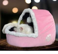 cat house