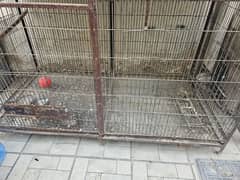 birds cage and breeding box.