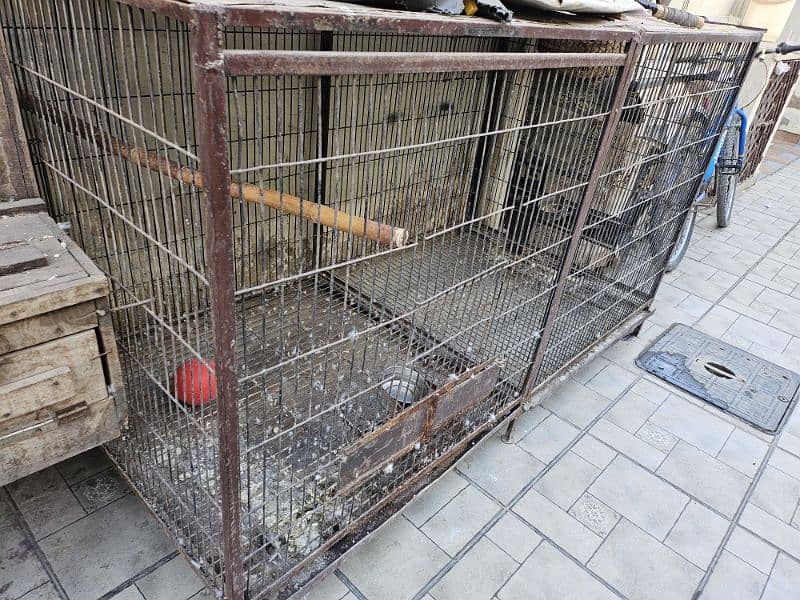 birds cage and breeding box. 4