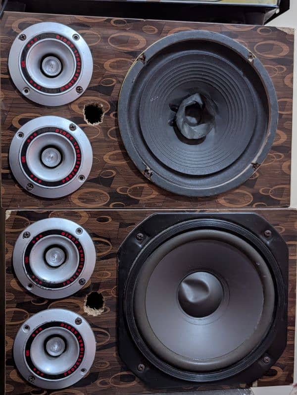 Woofer speaker 1