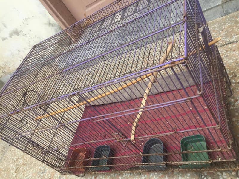 parrots 2 portion cage 0