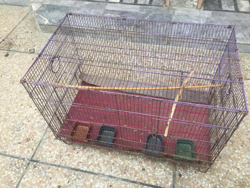 parrots 2 portion cage 1