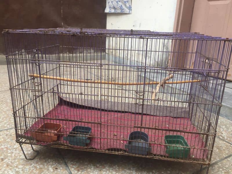 parrots 2 portion cage 6