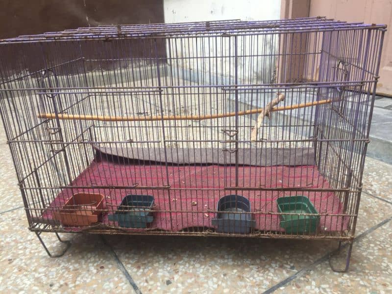 parrots 2 portion cage 7