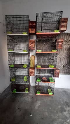 Birds Cages For Sale