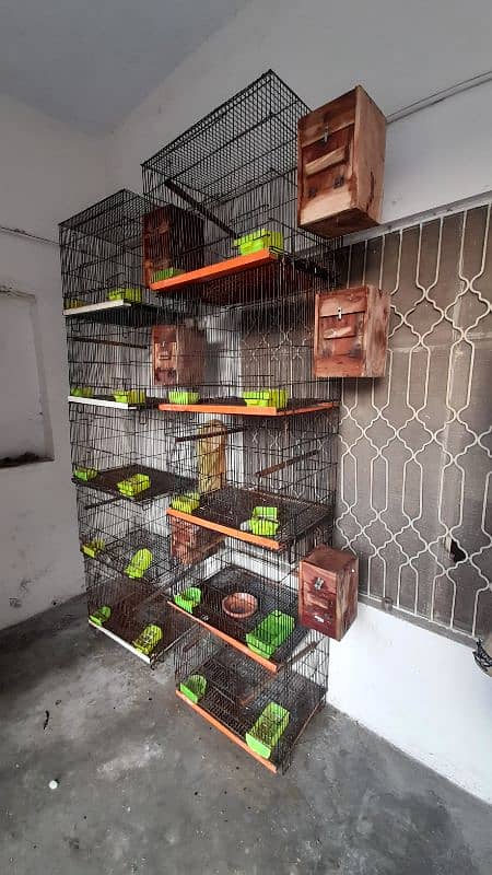 Birds Cages For Sale 1