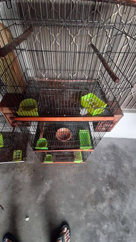 Birds Cages For Sale 2