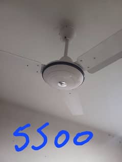 ceiling fan  soundless