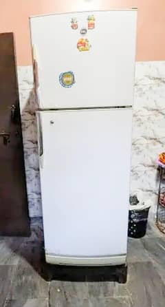 PEL Fridge, Refrigerator