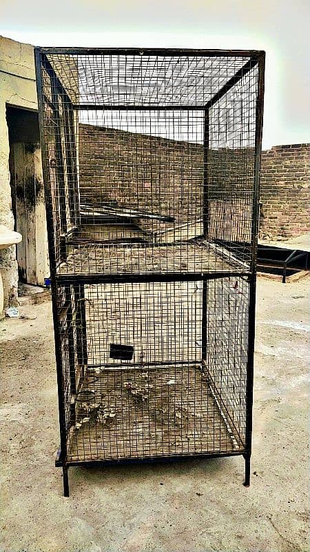 double cage wala lohe ka pinjra murga wala 3