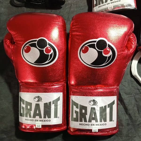 Customized Boxing Gloves, Punching Bag 0