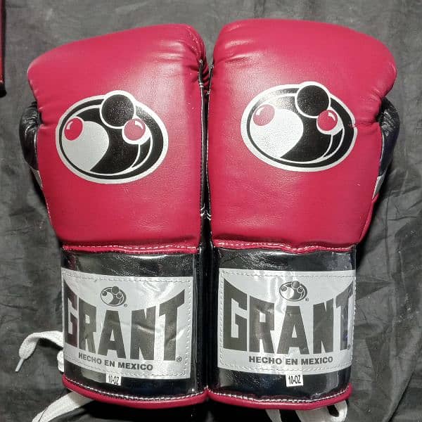 Customized Boxing Gloves, Punching Bag 1