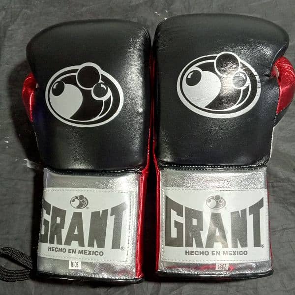 Customized Boxing Gloves, Punching Bag 2