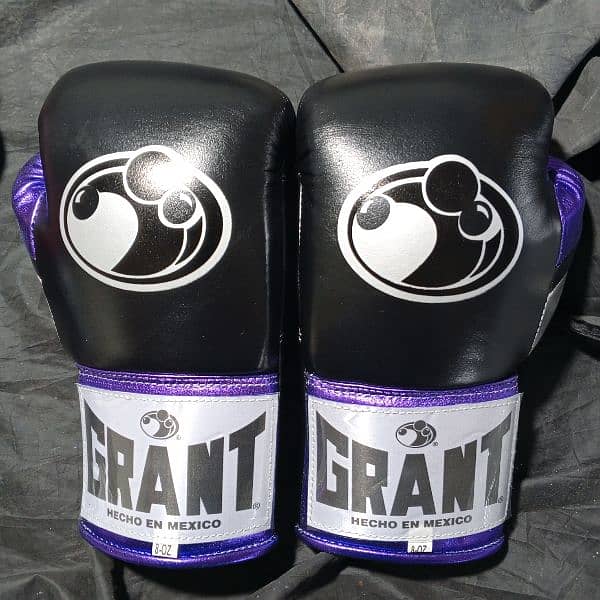 Customized Boxing Gloves, Punching Bag 3