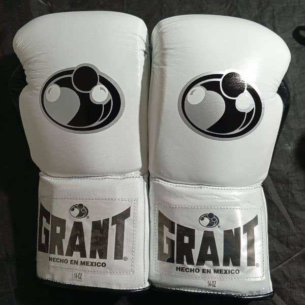 Customized Boxing Gloves, Punching Bag 4