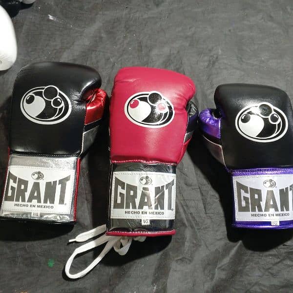 Customized Boxing Gloves, Punching Bag 5