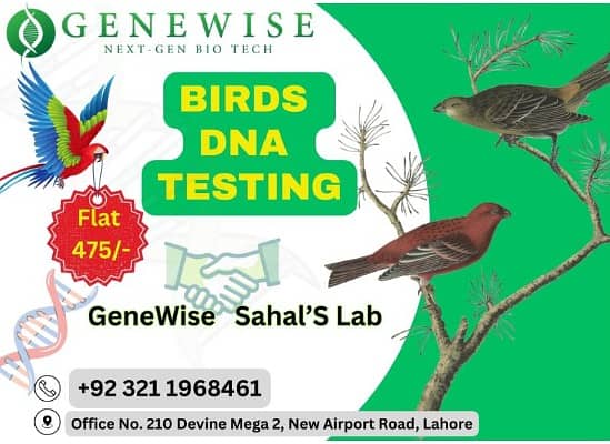 Birds DNA Testing 2