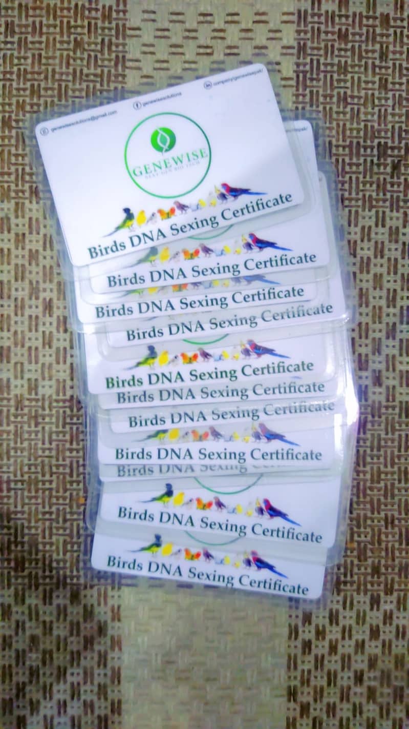 Birds DNA Testing 4