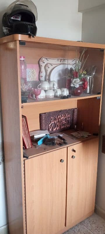 cabinet with shelf 1