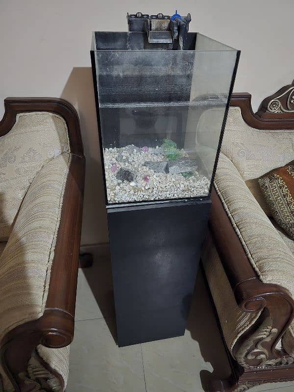 elegant crystal glass aquarium 0