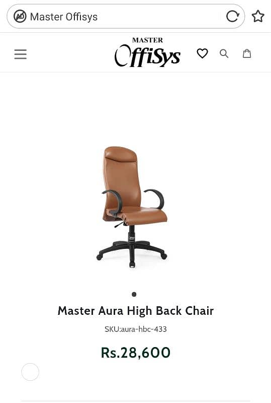 Slightly Use Offisys Master Chairs Available 14