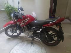 Yamaha YBR-G for Sale