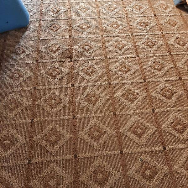 Carpet for sale 2