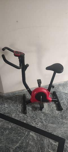 Exercise Bicycle Cardio Fitness Sports (Used)