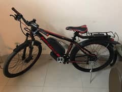 Electric Bicycle (Hybrid)