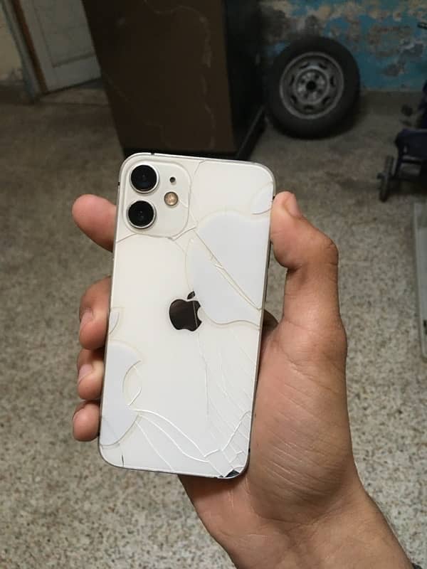 iPhone 12 mini 1